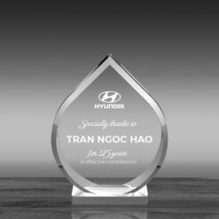 KỶ NIỆM CHƯƠNG MICA