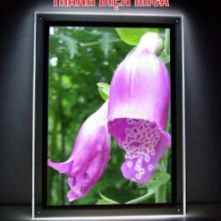 KHUNG TRANH MICA